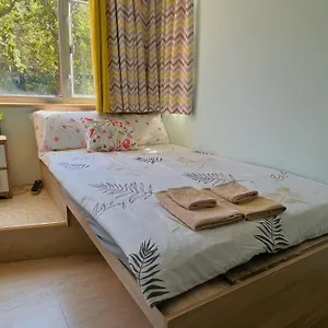 Hostel Amu Dreamhouse 阿木旅舍