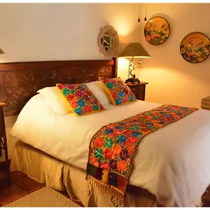 Collection O Casa Bella Boutique, 5* Cabo San Lucas